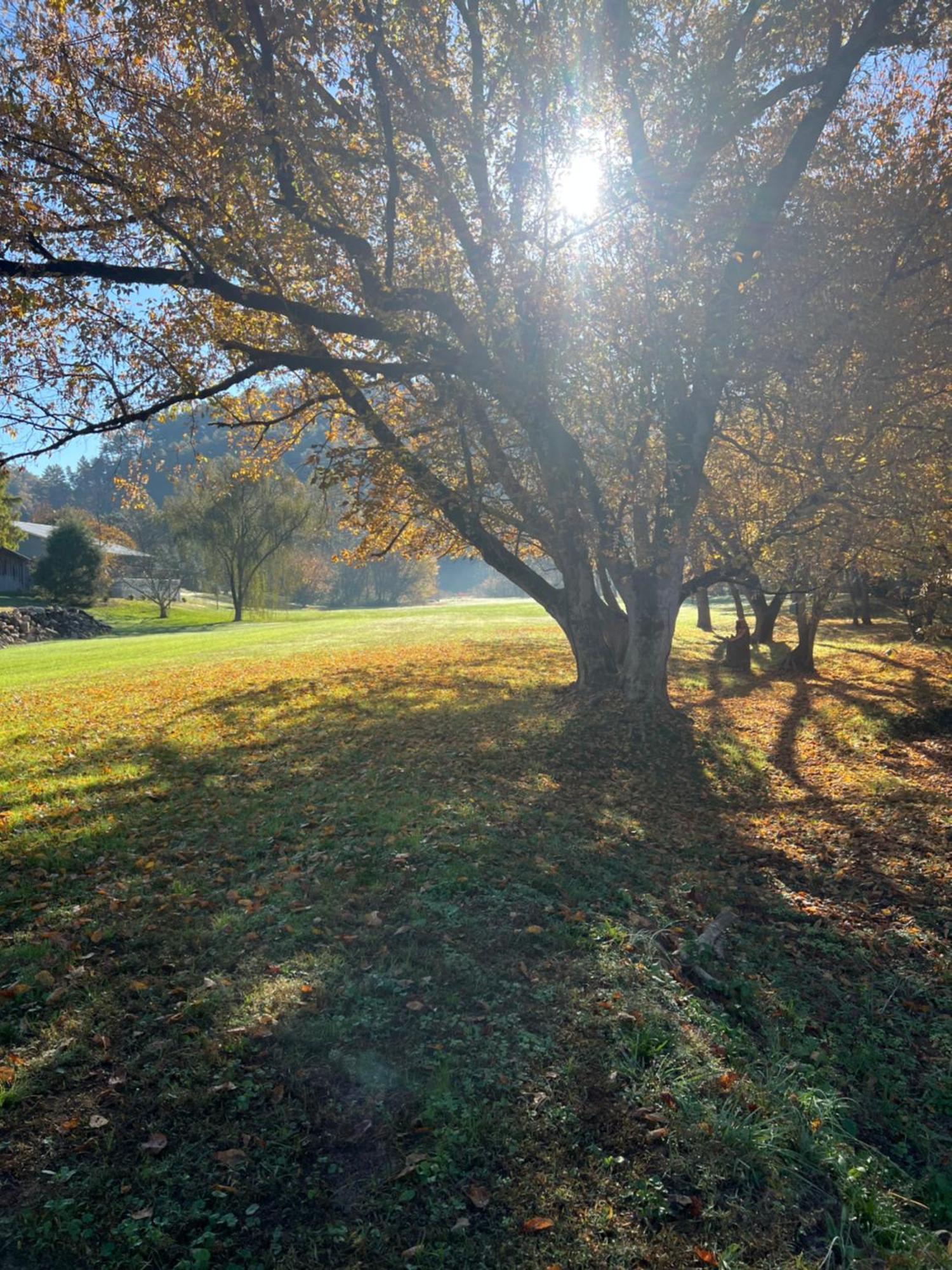 Firefly Fields 2-Acres With Guest House, Game Room, Mountain & River Views Sevierville Exterior photo